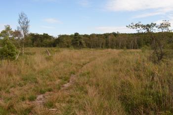 Sfeer ~ Oud-Turnhout ~ Landschap de Liereman (Antwerpen) 22-09-2019 ©Steve Wullaert