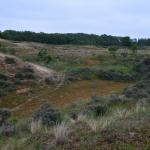 Sfeer - De Panne ~ Krakeelduinen (West-Vlaanderen) 20-06-2021 ©Steve Wullaert