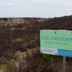 Sfeer - Kalmthout ~ De Kalmthoutse Heide - Stappersven (Antwerpen) 24-03-2018 ©Steve Wullaert