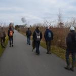 Sfeer - Kalmthout ~ De Kalmthoutse Heide - Stappersven (Antwerpen) 24-03-2018 ©Steve Wullaert