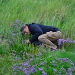 Sfeer - Nieuwpoort ~ De IJzermonding (West-Vlaanderen) - 04-07-2020 ©Steve Wullaert