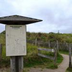 Sfeer - Nieuwpoort ~ De IJzermonding (West-Vlaanderen) - 04-07-2020 ©Steve Wullaert