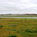 Sfeer - Nieuwpoort ~ De IJzermonding (West-Vlaanderen) - 04-07-2020 ©Steve Wullaert