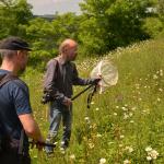 Sfeer - Stockay ~ Terrils et Decanteurs (Luik) 15-06-2019 ©Steve Wullaert 