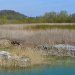 Sfeer - Stockay ~ Terrils et Decanteurs (Luik) 24-04-2021 ©Steve Wullaert