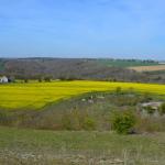 Sfeer - Stockay ~ Terrils et Decanteurs (Luik) 24-04-2021 ©Steve Wullaert