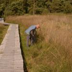 Sfeer ~ Oud-Turnhout ~ Landschap de Liereman (Antwerpen) 22-09-2019 ©Steve Wullaert