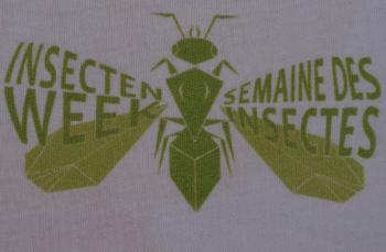 Sfeer - Zutendaal ~ Lieteberg (week van het insect) Limburg 02-06-2019 ©Steve Wullaert