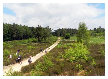 Sfeer - Arlon ~ Domaine Privé (Luxemburg)  (17-06-2017) ©Dries De Vreeze