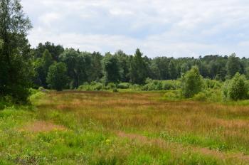 Sfeer - Arlon ~ Domaine Privé (Luxemburg) 31-07-2021 ©Steve Wullaert