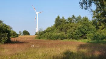 Sfeer - Krewinkel ~ Schartenknopf (Luik) 20-07-2021 ©Steve Wullaert