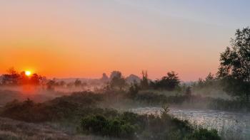 Sfeer - Neerpelt ~ Het Hageven (Limburg) 17-07-2021 ©Steve Wullaert