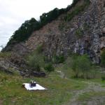 Sfeer - Aywaille ~ Heid des Gattes (Luik) - 21-06-2020 ©Steve Wullaert