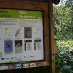 Sfeer -  Aywaille ~ Carrière de la Falize (Luik) 12-09-2020 ©Steve Wullaert