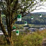 Sfeer -  Aywaille ~ Carrière de la Falize (Luik) 12-09-2020 ©Steve Wullaert 