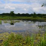Sfeer - Arendonk ~ t' Goorken (Antwerpen) 11-07-2021 ©Steve Wullaert 