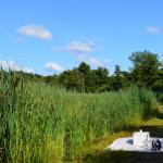 Sfeer - Arendonk ~ t' Goorken (Antwerpen) 11-07-2021 ©Steve Wullaert 