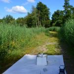 Sfeer - Arendonk ~ t' Goorken (Antwerpen) 11-07-2021 ©Steve Wullaert 