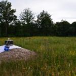 Sfeer - Arendonk ~ t' Goorken (Antwerpen) 11-07-2021 ©Steve Wullaert 