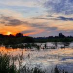 Sfeer - Arendonk ~ t' Goorken (Antwerpen) 11-07-2021 ©Steve Wullaert 