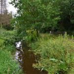 Sfeer - Arendonk ~ t' Goorken (Antwerpen) 11-07-2021 ©Steve Wullaert 