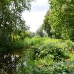 Sfeer - Arendonk ~ t' Goorken (Antwerpen) 11-07-2021 ©Steve Wullaert 