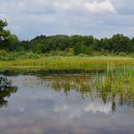 Sfeer - Arendonk ~ t' Goorken (Antwerpen) 11-07-2021 ©Steve Wullaert 