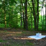 Sfeer - Arlon ~ Domaine Privé (Luxemburg)  (17-06-2017) ©Steve Wullaert