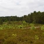 Sfeer - Arlon ~ Domaine Privé (Luxemburg)  (17-06-2017) ©Steve Wullaert