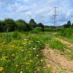 Sfeer - Arlon ~ Domaine Privé (Luxemburg) 31-07-2021 ©Steve Wullaert