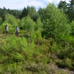 Sfeer - Arlon ~ Domaine Privé (Luxemburg) 31-07-2021 ©Steve Wullaert