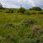 Sfeer - Arlon ~ Domaine Privé (Luxemburg) 31-07-2021 ©Steve Wullaert