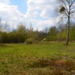 Sfeer - Beauraing ~ Grand Quarti (Namen) 01-05-2021 ©Steve Wullaert 