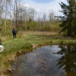 Sfeer - Beauraing ~ Grand Quarti (Namen) 01-05-2021 ©Steve Wullaert 