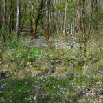 Sfeer - Beauraing ~ Grand Quarti (Namen) 01-05-2021 ©Steve Wullaert 