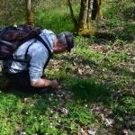 Sfeer - Beauraing ~ Grand Quarti (Namen) 01-05-2021 ©Steve Wullaert 