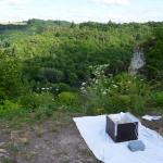 Sfeer - Furfooz ~ Parc naturelle de Furfooz (Namen) - 27-06-2020 ©Steve Wullaert 