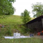 Sfeer - Furfooz ~ Parc naturelle de Furfooz (Namen) - 27-06-2020 ©Steve Wullaert 