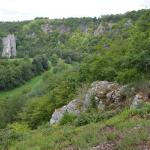 Sfeer - Furfooz ~ Parc naturelle de Furfooz (Namen) - 27-06-2020 ©Steve Wullaert 