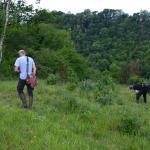 Sfeer - Furfooz ~ Parc naturelle de Furfooz (Namen) - 27-06-2020 ©Steve Wullaert 