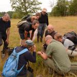 Sfeer - Furfooz ~ Parc naturelle de Furfooz (Namen) 03-08-2019 ©Steve Wullaert 