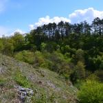 Sfeer - Furfooz ~ Parc naturelle de Furfooz (Namen) 04-05-2019 ©Steve Wullaert