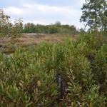 Sfeer - Diepenbeek ~ De Maten (Limburg) 17-10-2020 ©Steve Wullaert 