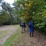 Sfeer - Diepenbeek ~ De Maten (Limburg) 17-10-2020 ©Steve Wullaert 