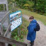 Sfeer - Diepenbeek ~ De Maten (Limburg) 17-10-2020 ©Steve Wullaert 