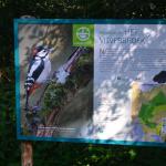 Sfeer - Kinrooi ~ Het Vijverbroek (Limburg) - 22-08-2020 ©Steve Wullaert