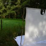 Sfeer - Kinrooi ~ Het Vijverbroek (Limburg) - 22-08-2020 ©Steve Wullaert