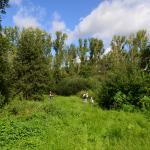 Sfeer - Kinrooi ~ Het Vijverbroek (Limburg) - 22-08-2020 ©Steve Wullaert