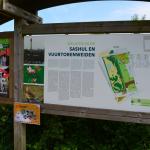 Sfeer - Knokke-Heist ~ Baai van Heist & Sashul (West-Vlaanderen)  20-06-2021 ©Steve Wullaert 
