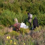 Sfeer - Koksijde ~ Doornpanne (West-Vlaanderen) - 05-07-2020 ©Steve Wullaert 